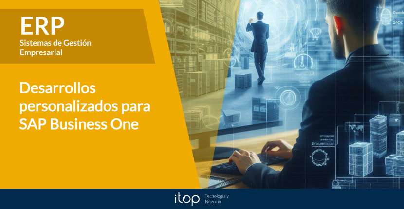 Desarrollos personalizados para SAP Business One